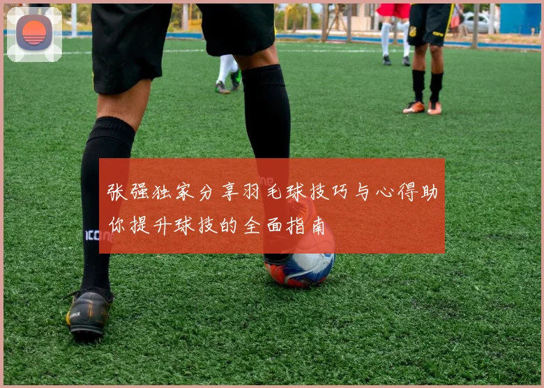 张强独家分享羽毛球技巧与心得助你提升球技的全面指南